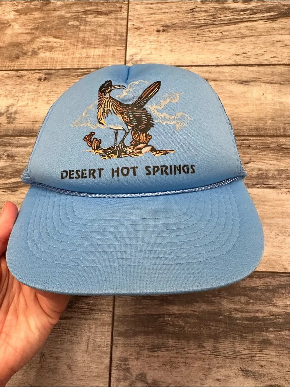 Desert Hot Springs Light Blue Trucker Cap with Bird Graphic